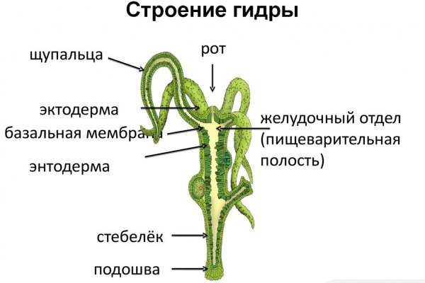 Кракен действующая ссылка