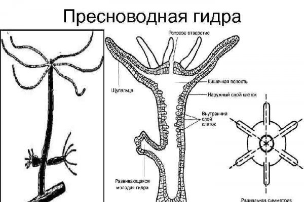 Вход кракен код