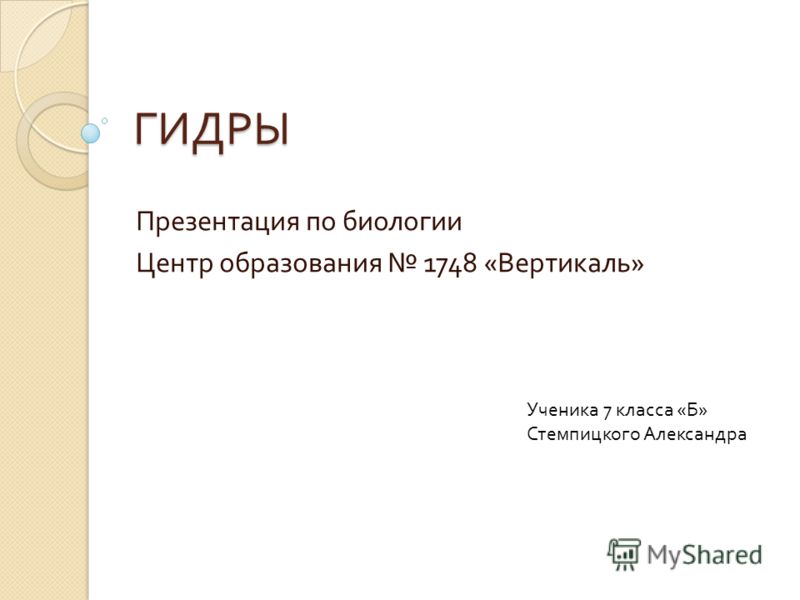 Кракен тор ссылка магазин